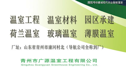 廣西等西南地區(qū)推廣a字架草莓栽培的優(yōu)點以及技術分享